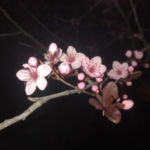 Meet your Posher, Colleen